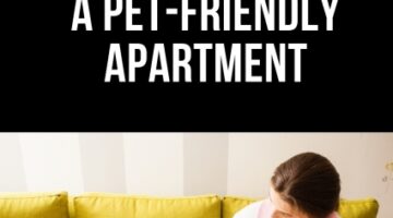 Tips to Find Pet Friendly Apartment