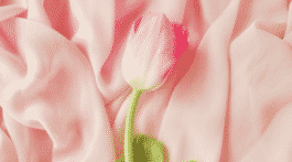 Best Real Estate Articles March 2021