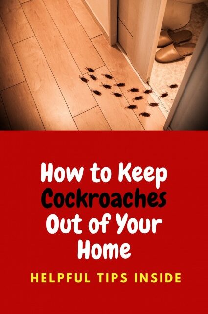 Keep Cockroaches Out of Home