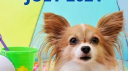 Best Real Estate Articles July 2021