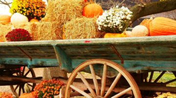 Real Estate October 2025