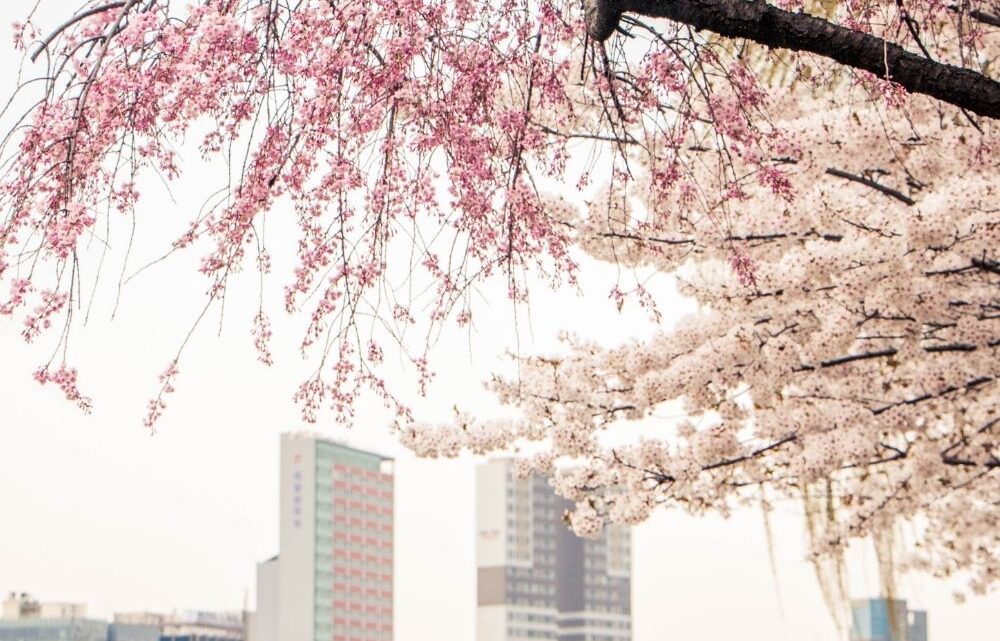 Real Estate April 2026