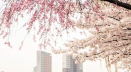 Real Estate April 2026