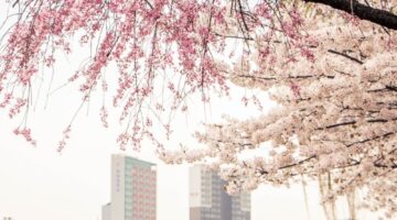 Real Estate April 2026